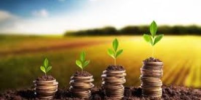 credito-rural-xJvnj