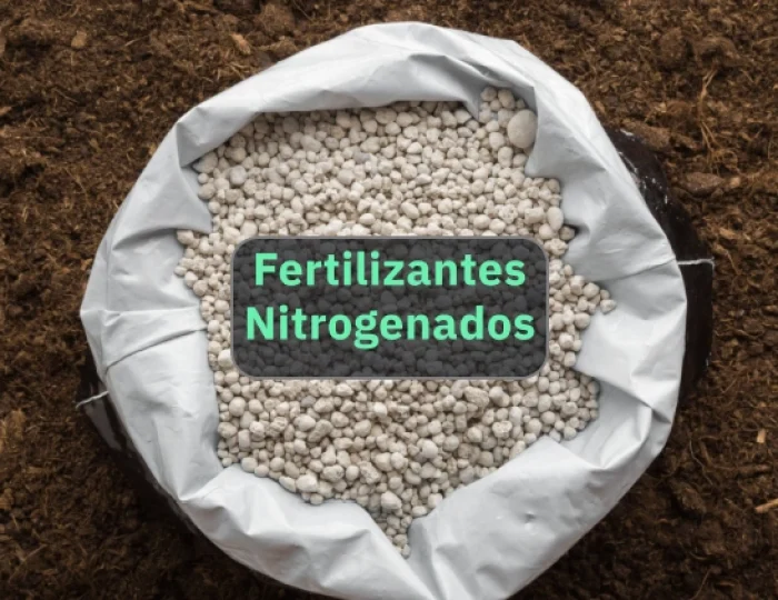 nitrogen-fertilizers-main-pt.png