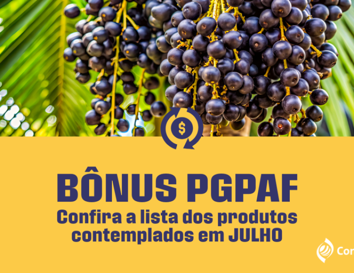 PGPAF