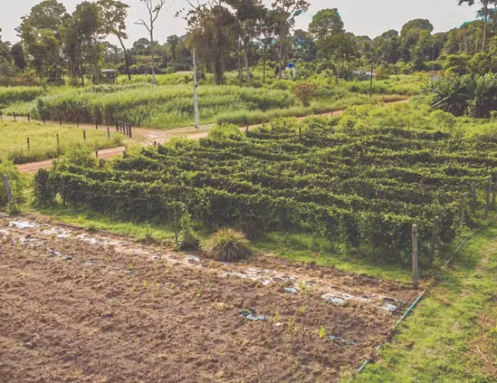 agro