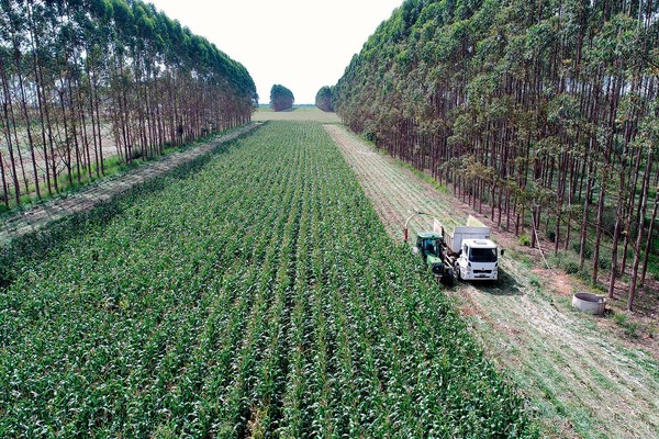 agro3
