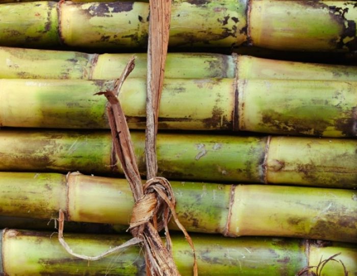 cada de açucar