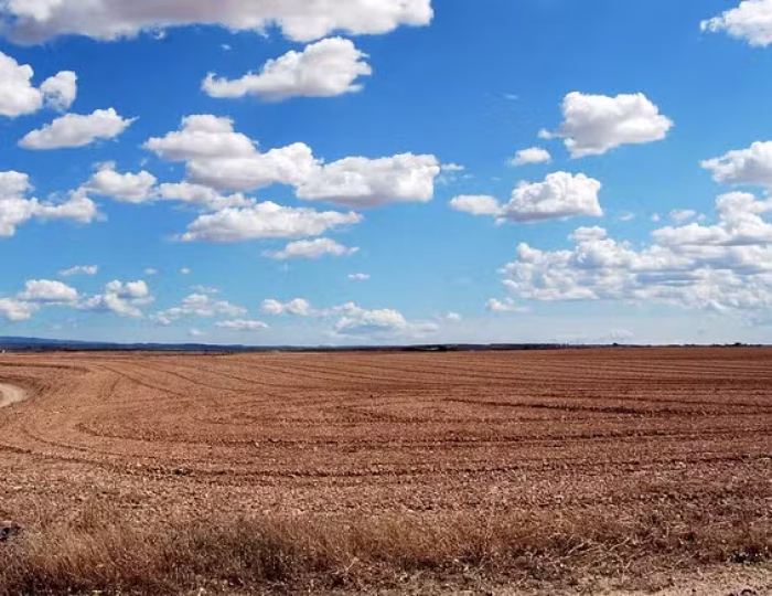 estrada rural