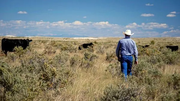 RANCHO-AMERICANO