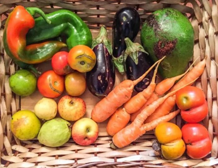 hortaliças4