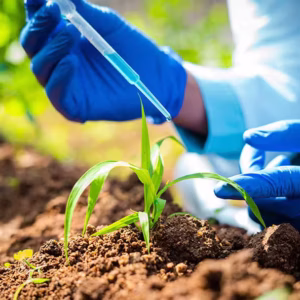 Governo prepara decreto para regulamentar lei de bioinsumos