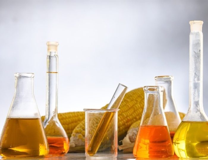 biomassa flirestal