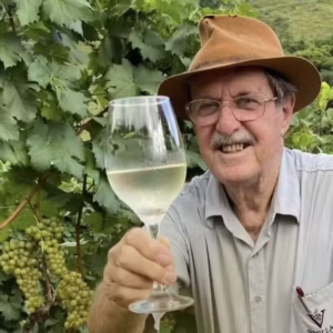 Conheça a uva que pode reduzir em 90% o uso de fungicidas nos vinhedos