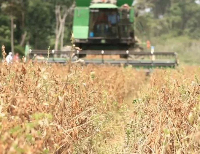 agro-maquinas