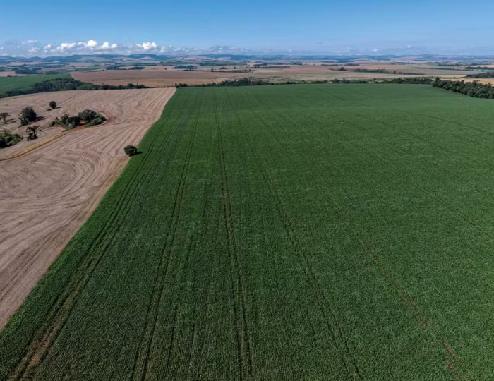 terra